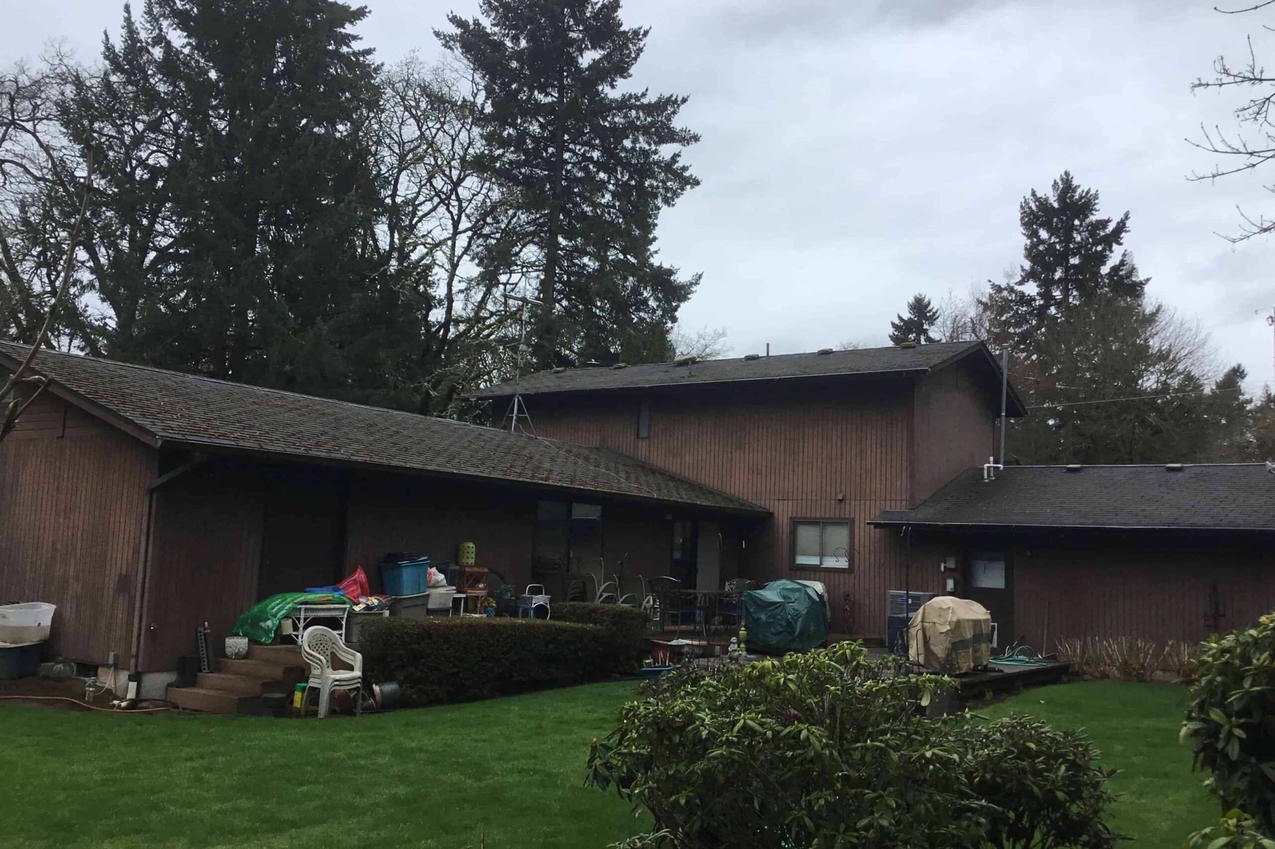 Eugene OR Asphalt Roof Backyard